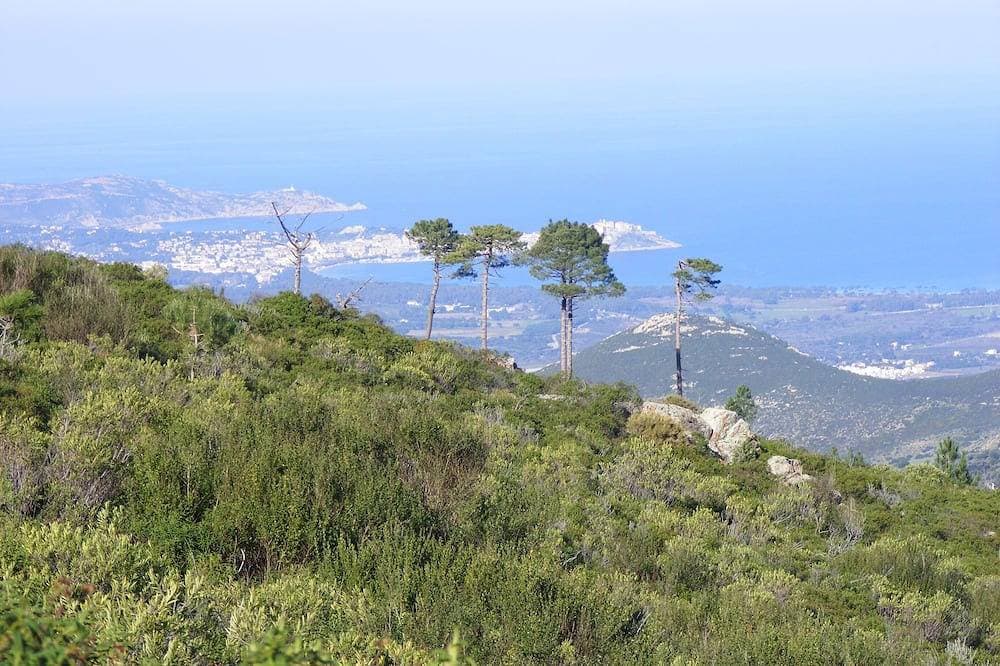 Foto 13 von 15: Studio 30m² Charakter zwischen Land und Meer - 8 km von Calvi Promo Mai