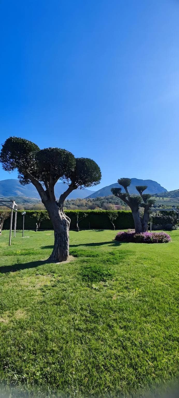 Foto 9 von 17: B&b 'Le Colline Di Paestum' mit WLAN und Klimaanlage