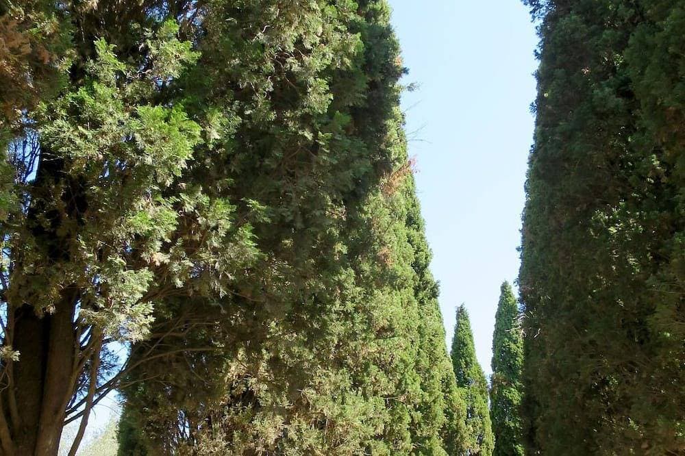 Foto 13 von 30: Il Podere del Lago