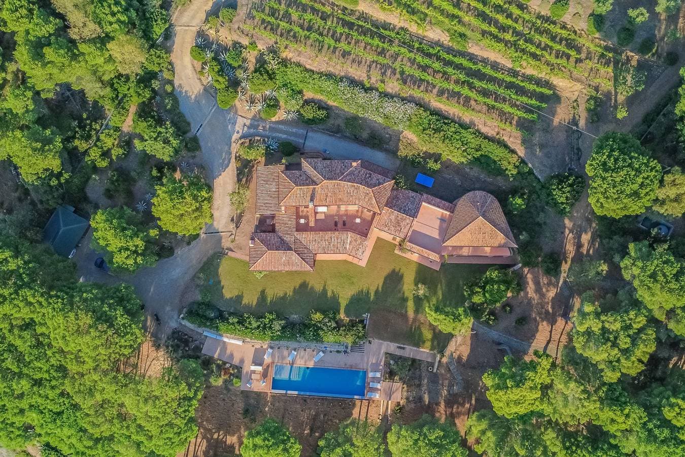 Foto 9 von 72: Villa für 14 Personen mit Garten