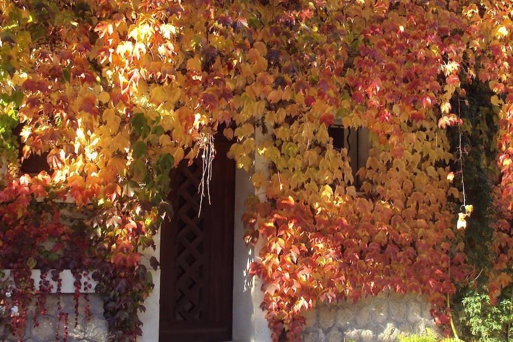 Foto 9 von 20: Ferienhaus in Châteaurenard de Provence