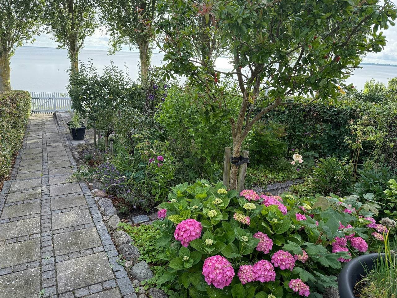 Foto 4 von 19: Schönes Stadthaus in erster Reihe zum Meer
