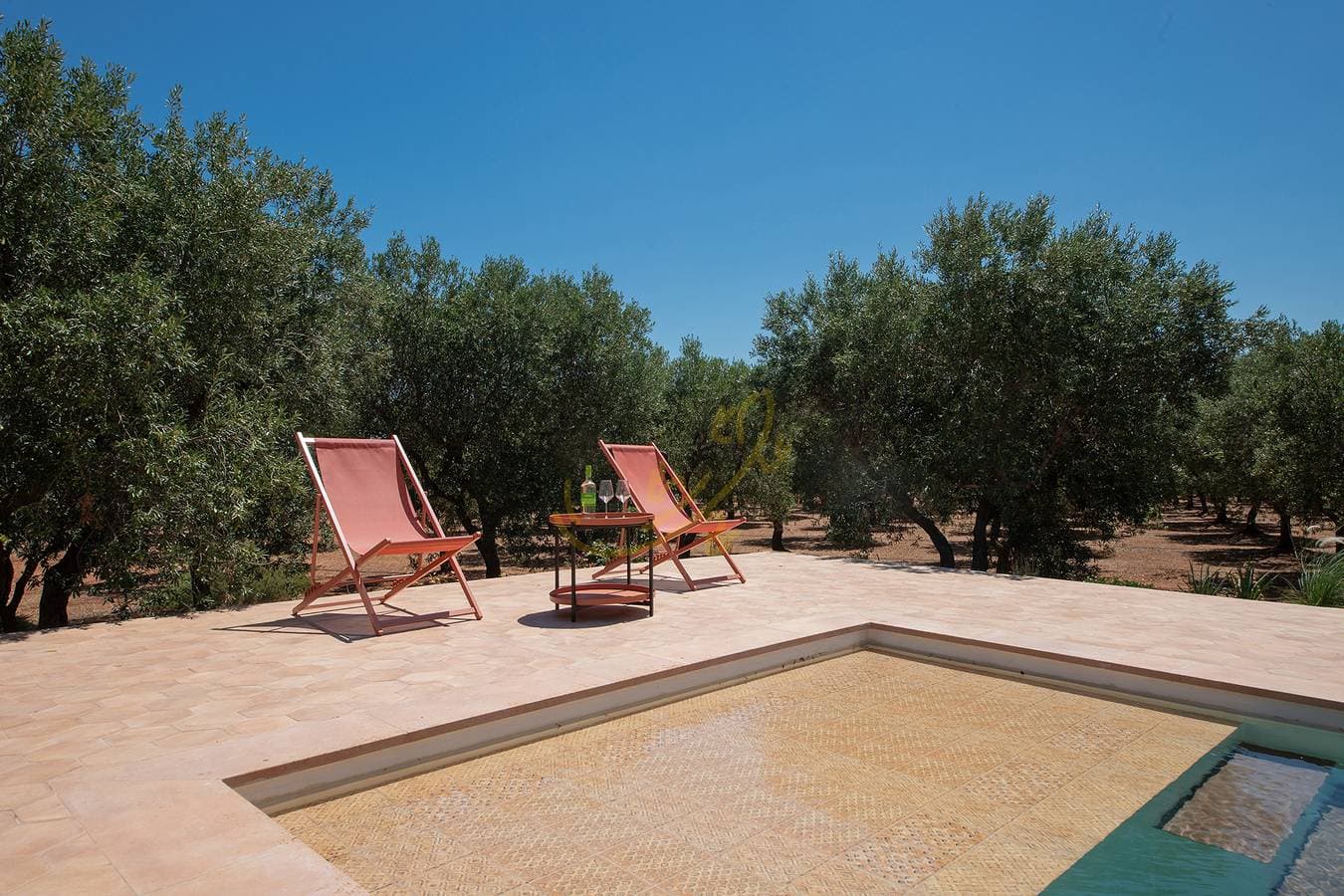 Foto 5 von 45: Td Lamia Porta Rossa, Countryside w/Olive Trees