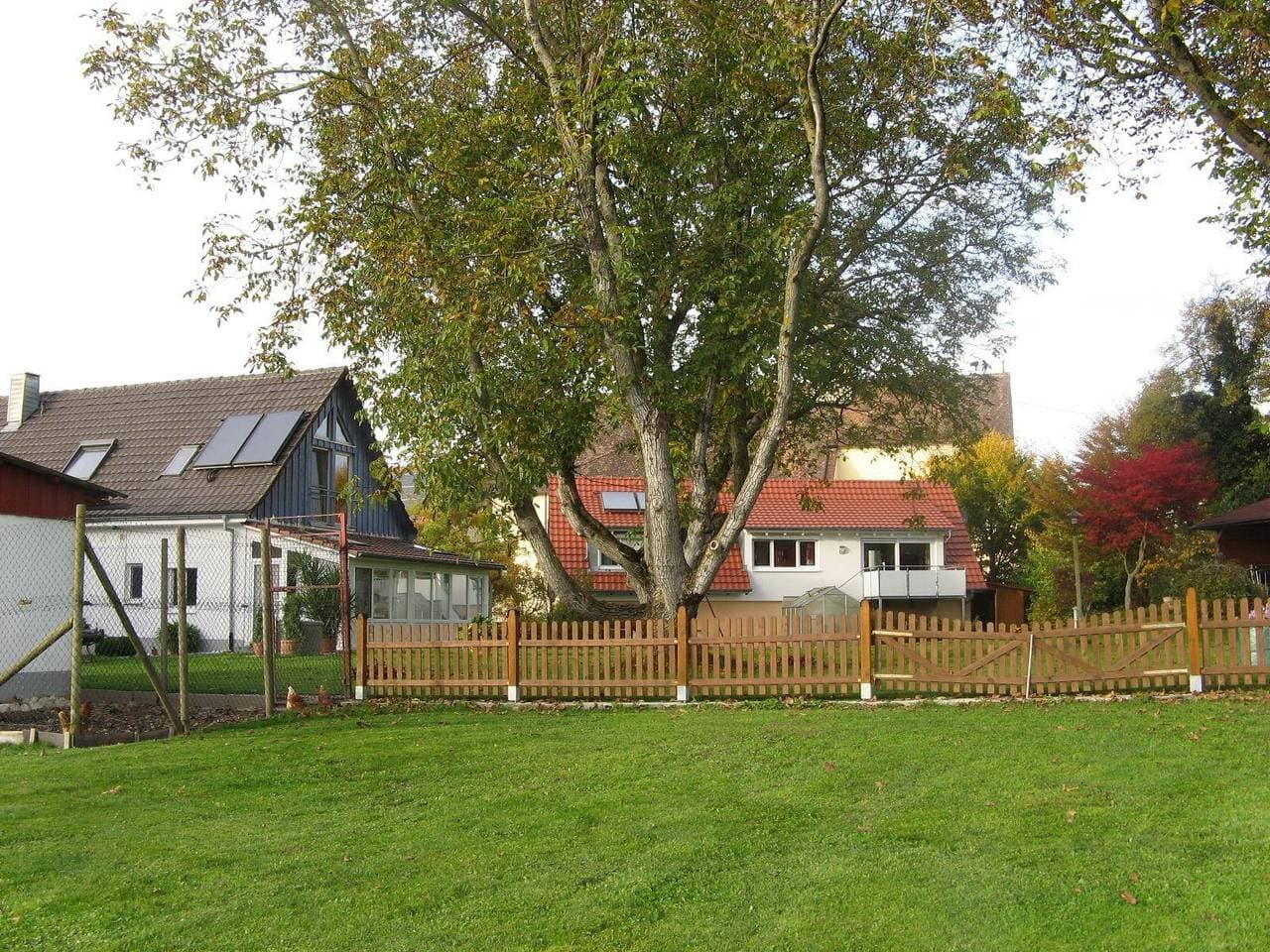 Foto 5 von 17: Nussbaum
