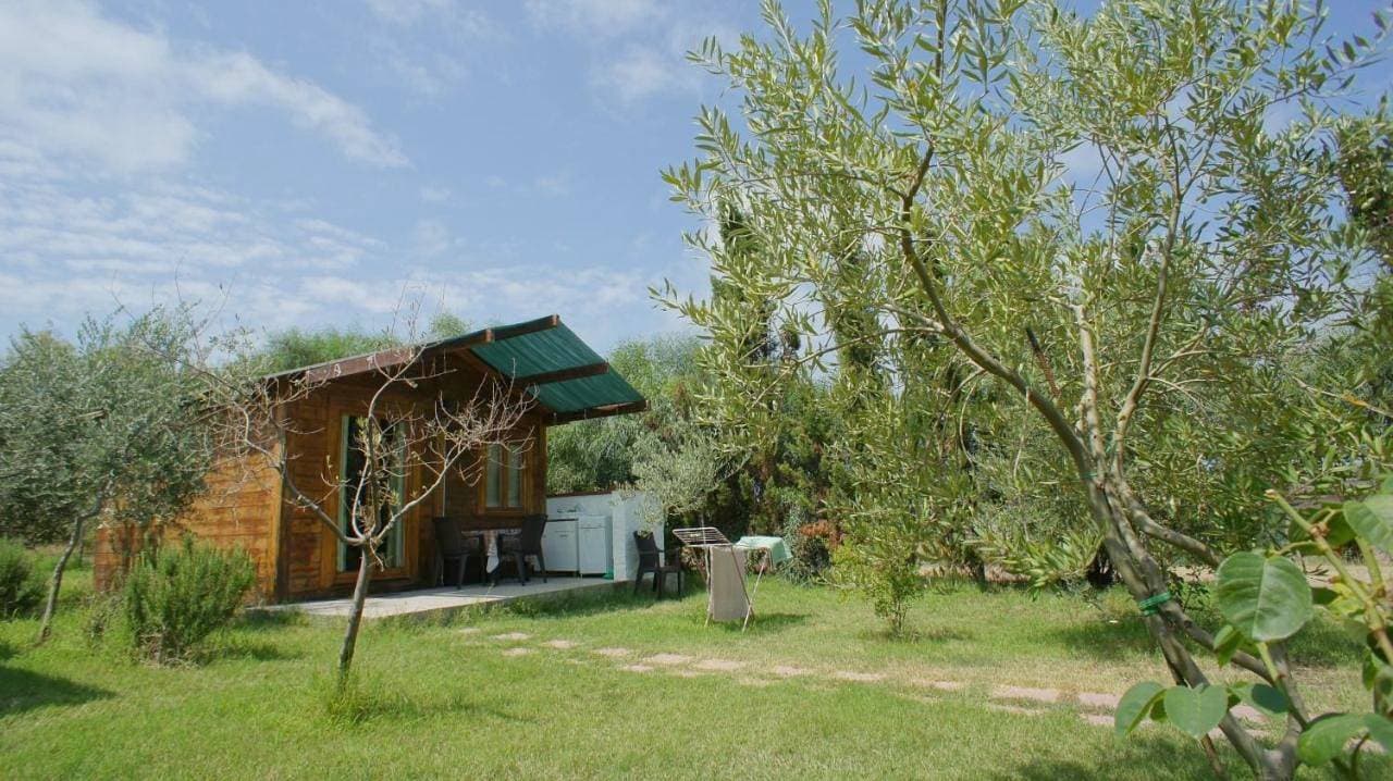 Foto 5 von 27: One-Bedroom Bungalow (2 Adults)