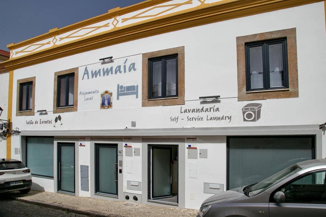 Ammaia AL 1