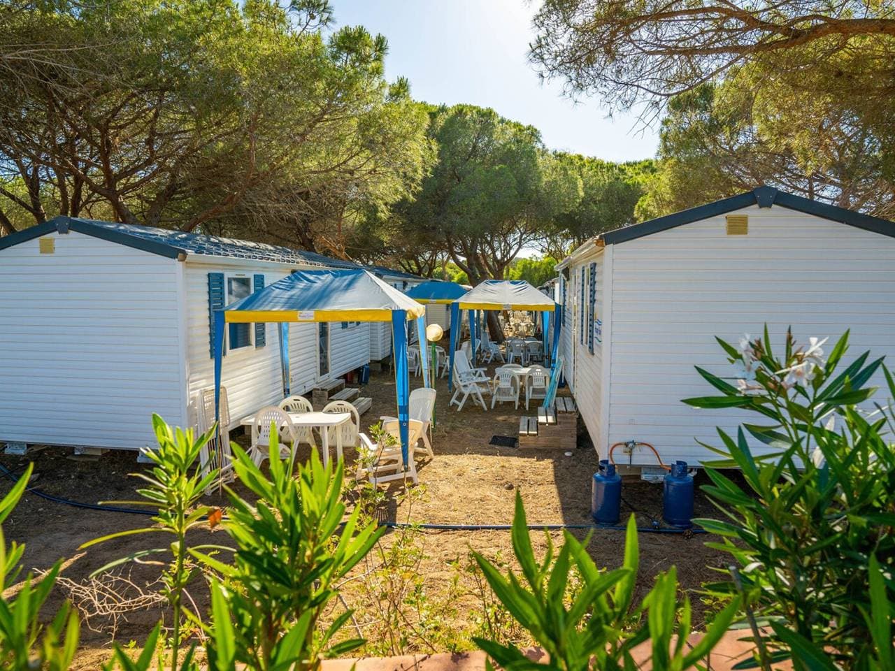 Foto 6 von 44: Camping Baia Paradiso