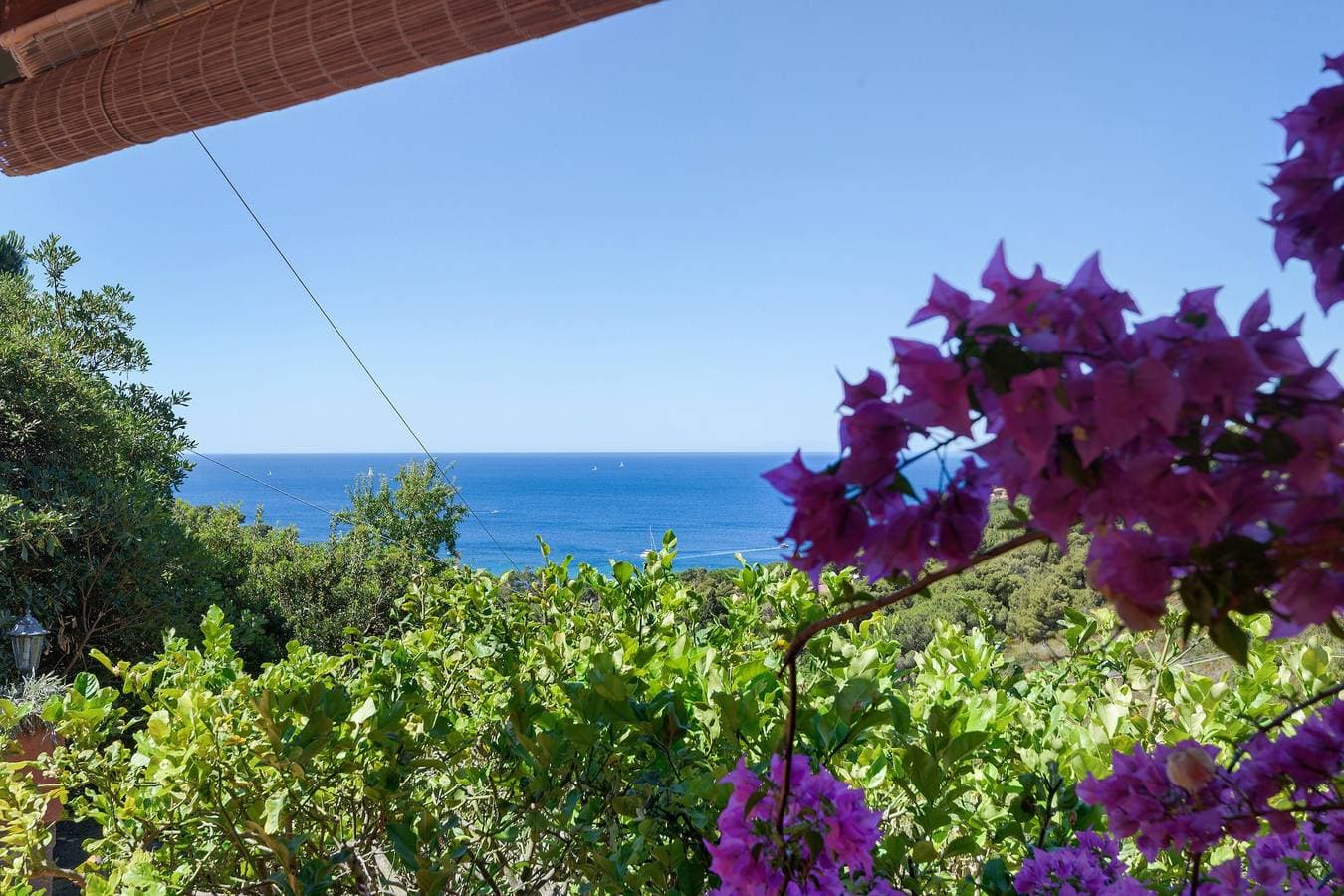 Foto 2 von 24: Villa Fiorita – Apartment Bouganville: Ihr Rückzugsort auf Elba zwischen Meer und Natur