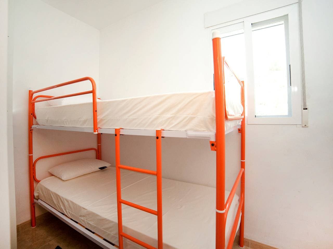 Foto 12 von 21: Ingy