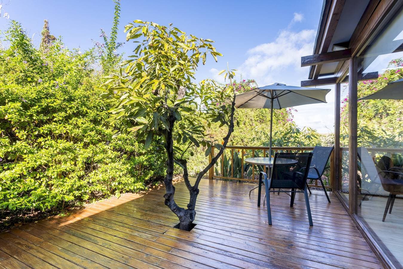 Foto 12 von 51: Ferienwohnung für 3 Personen mit Terrasse