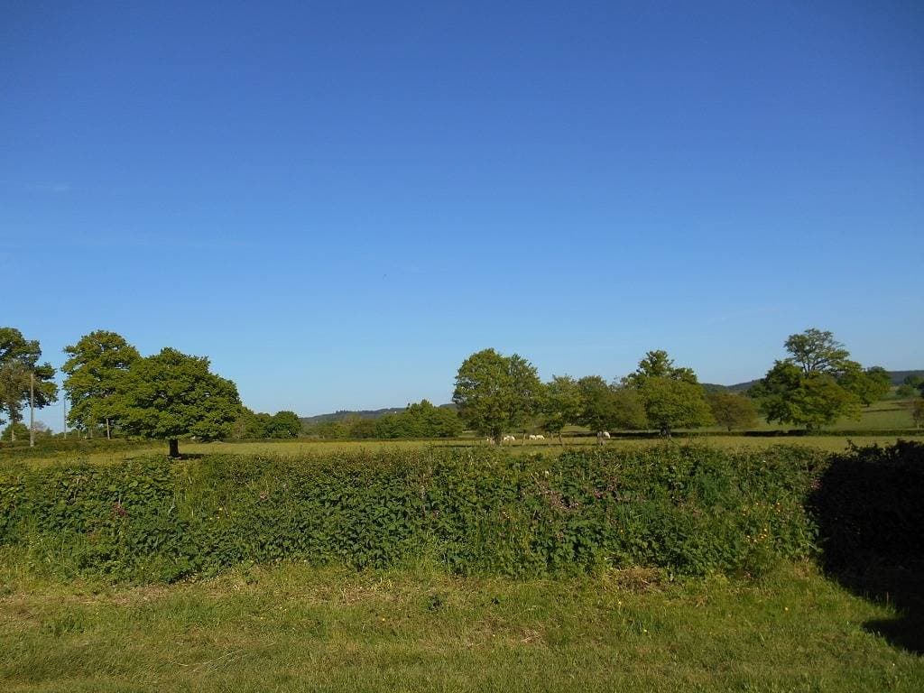 Foto 5 von 16: Gîte du Pallat