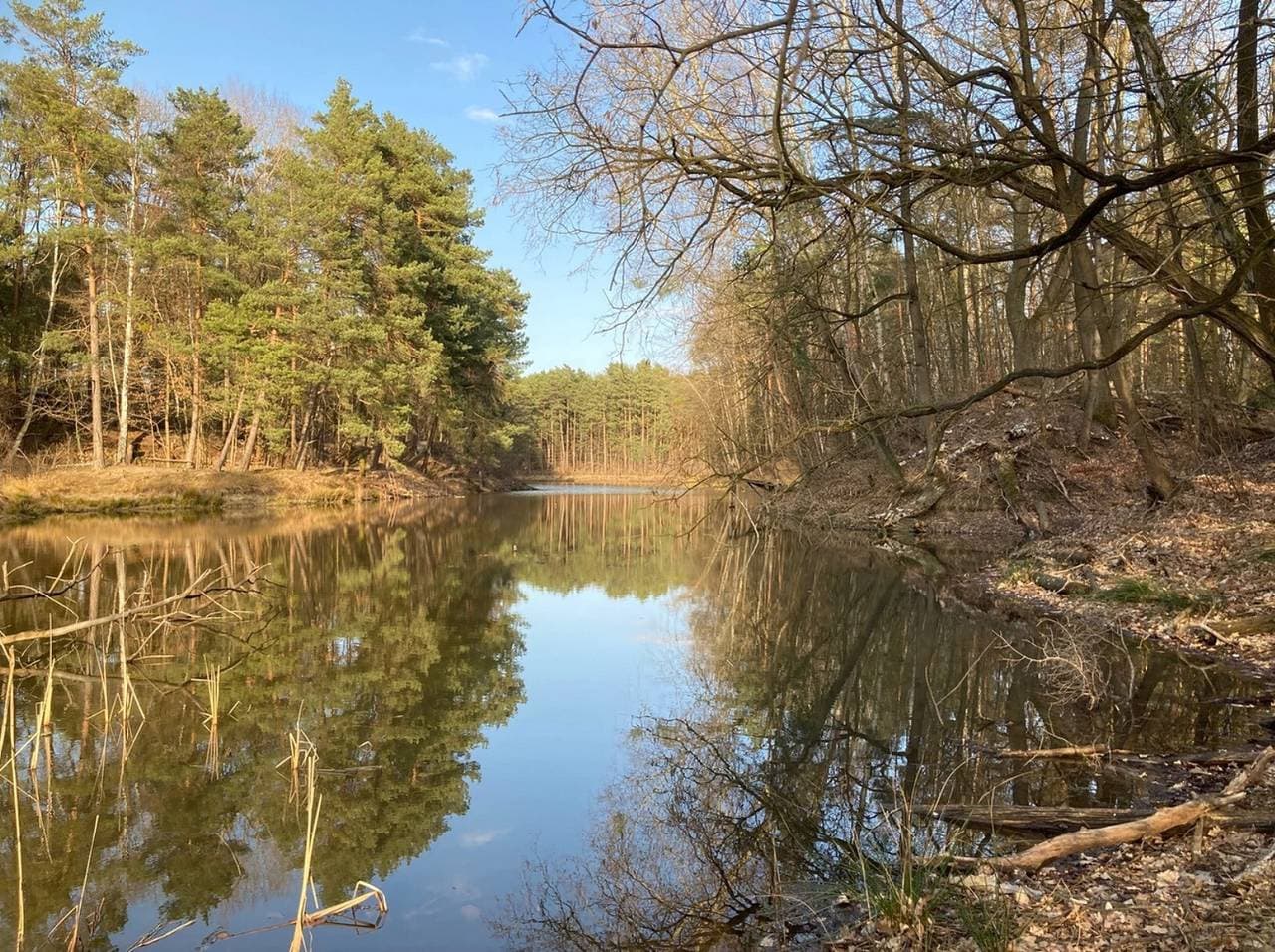 Bungalow im Wald am See - Biberspur 1
