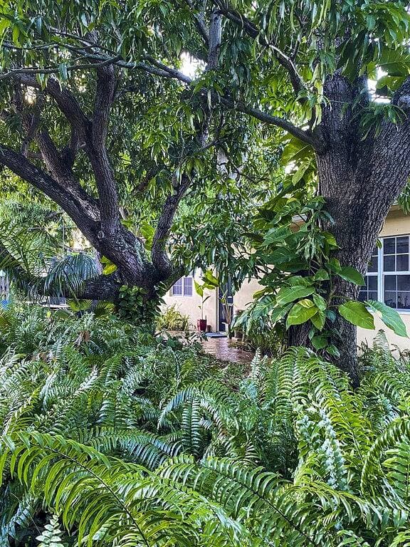 Foto 9 von 36: Spacious & refreshing, The Mango Cottage: Near the beach & all things S. Fl!