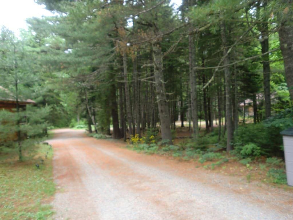 Foto 3 von 15: Acadia Explorer Cabin Rentals