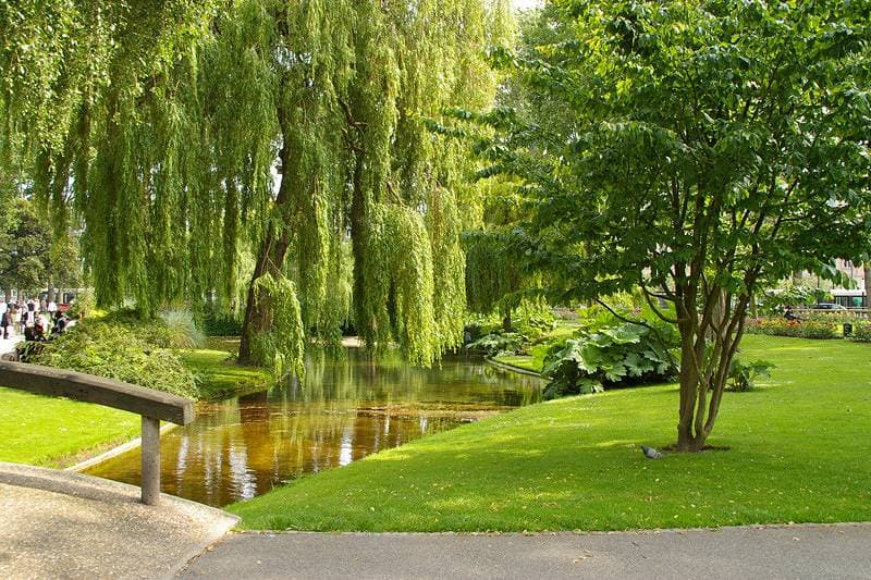 Foto 10 von 12: Gîtes de France® - Le Nid de Verdure
