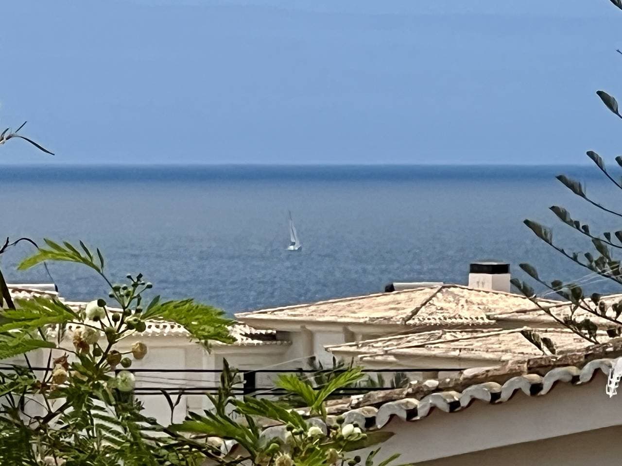 Foto 12 von 29: Carvoeiro Ocean Breeze