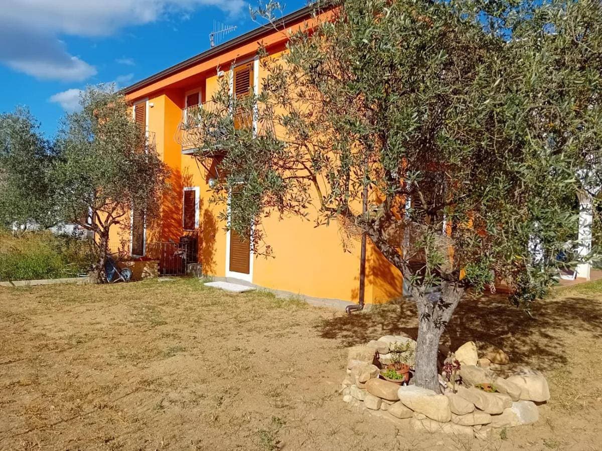 Carmen House 1