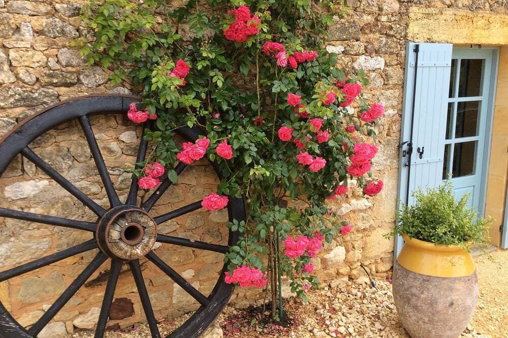 Foto 9 von 29: Ferienwohnung Les Rosiers, Lavendelblüte im Herzen des Périgord