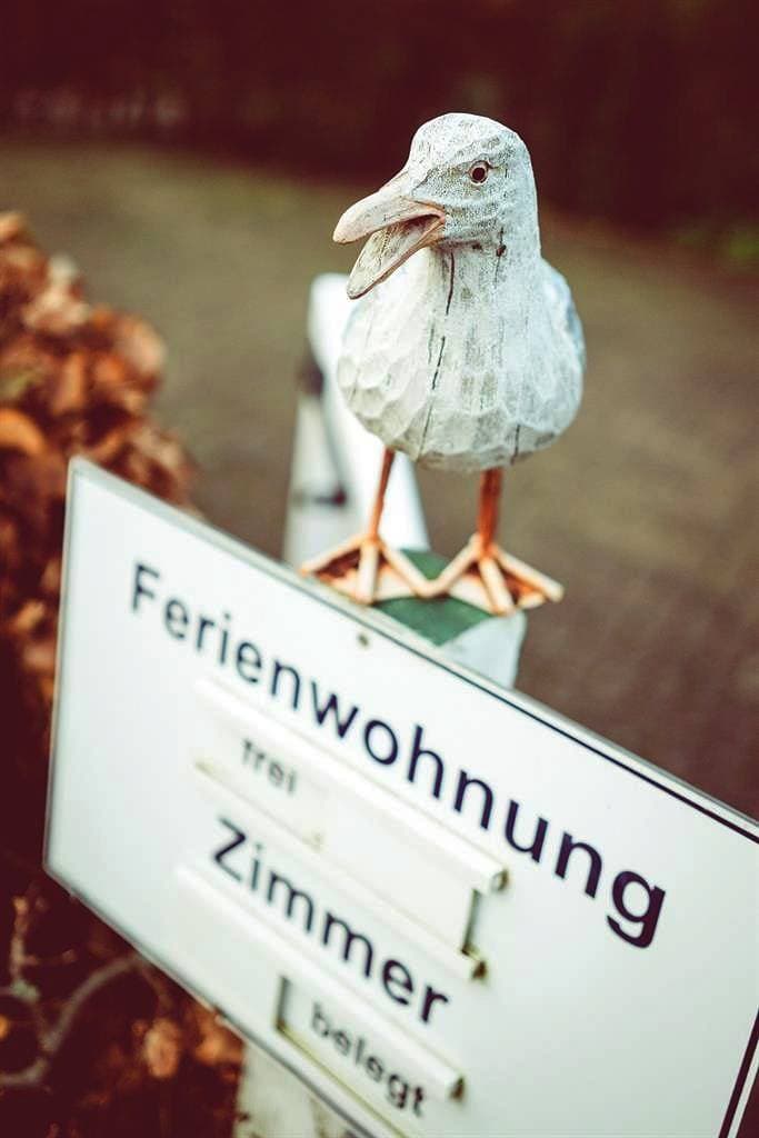 Foto 13 von 13: Ferienwohnung 1