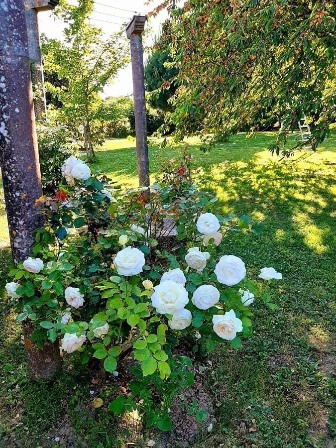 Foto 11 von 53: L'Escale de Bel Air