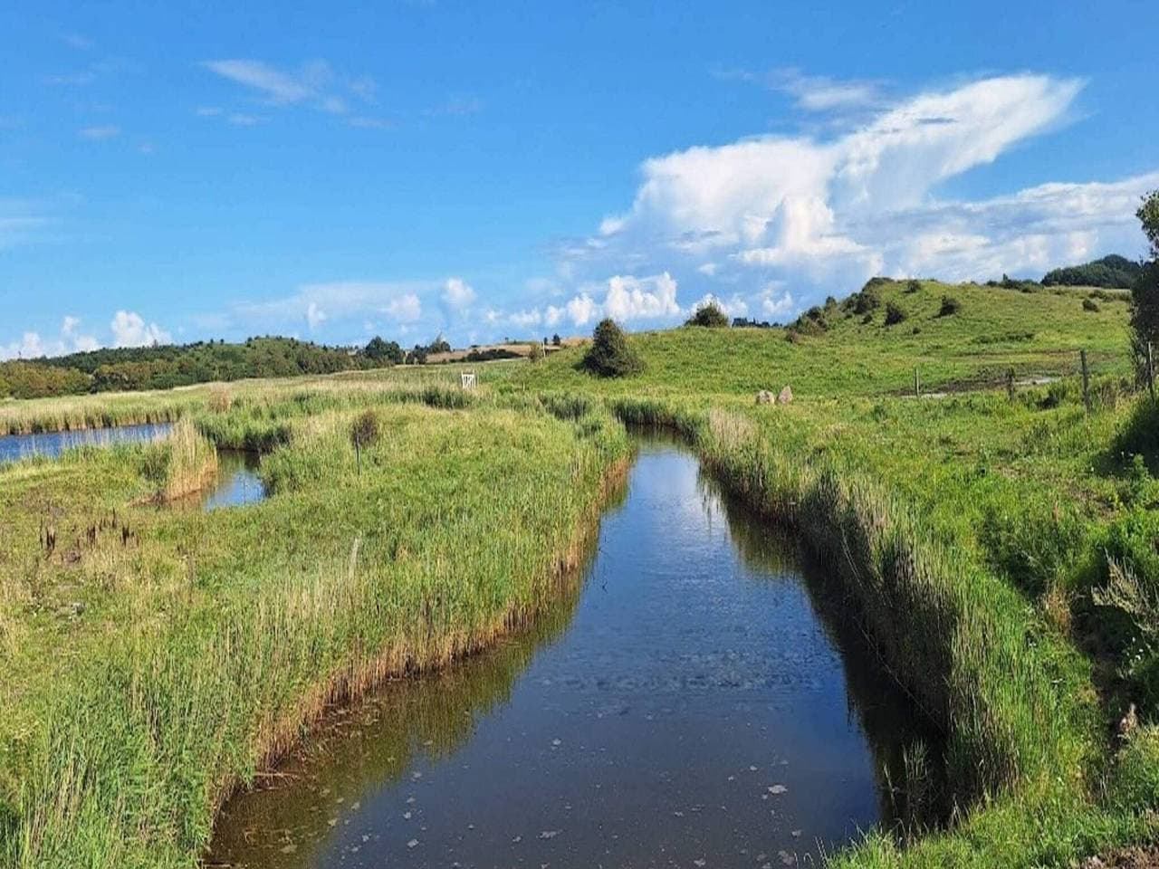 Foto 10 von 36: Kustenzauber in Ristinge