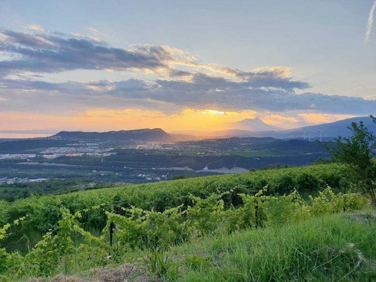 "Cortela" appartameni in villetta singola 1
