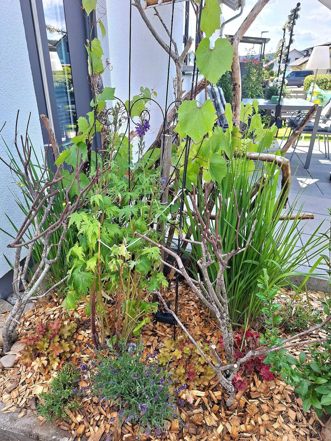 Foto 8 von 29: Ferienwohnung 'Bei Tanja Und Marcus' mit Terrasse, Garten und Wi-Fi
