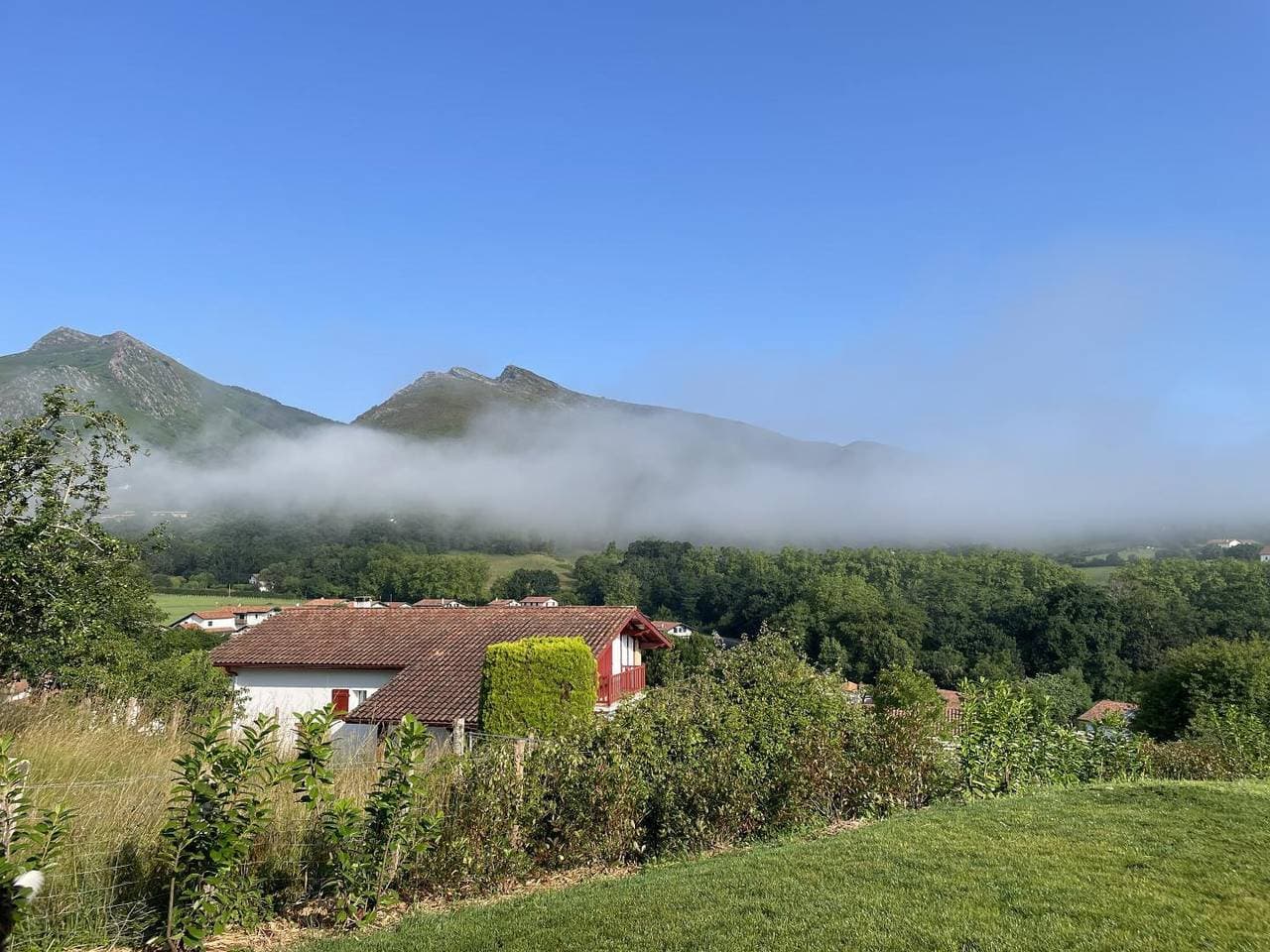 Foto 10 von 27: Lataborrea