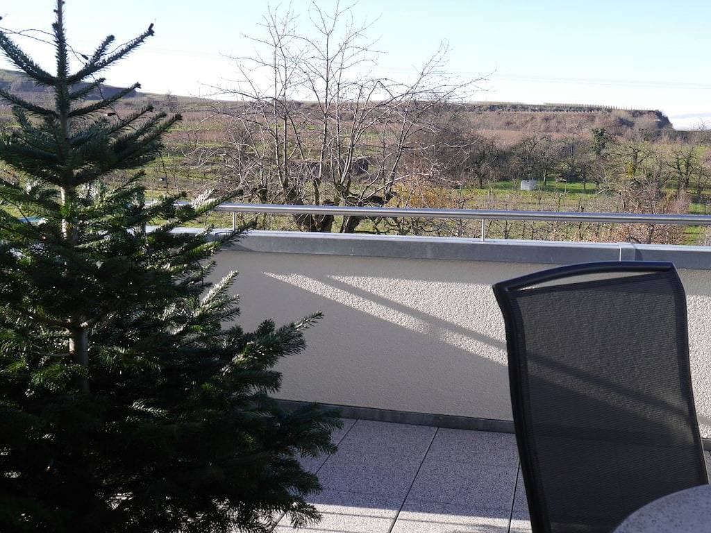 Foto 8 von 29: Spätburgunder im Ferienhaus Lehmättle