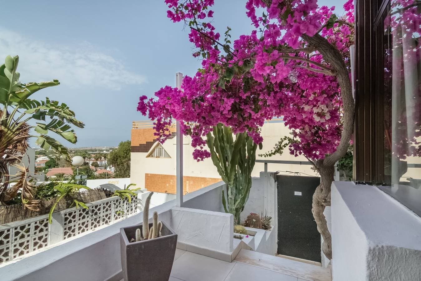 vvlasbuganvillas 1