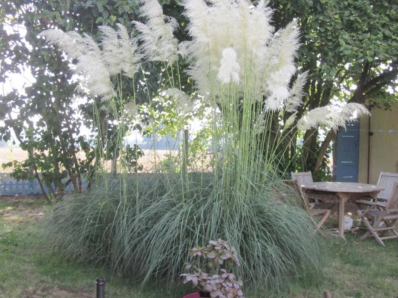 Foto 3 von 13: Holiday Home