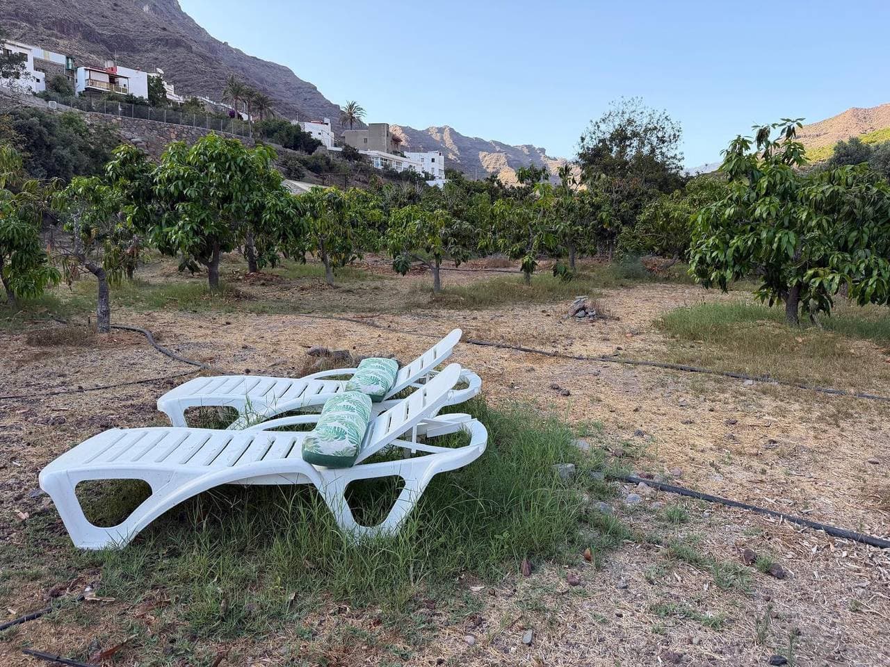 Foto 8 von 25: Kleines Ferienhaus "Finca Nim 1" auf Bauernhof mit Bergblick, Pool und WLAN