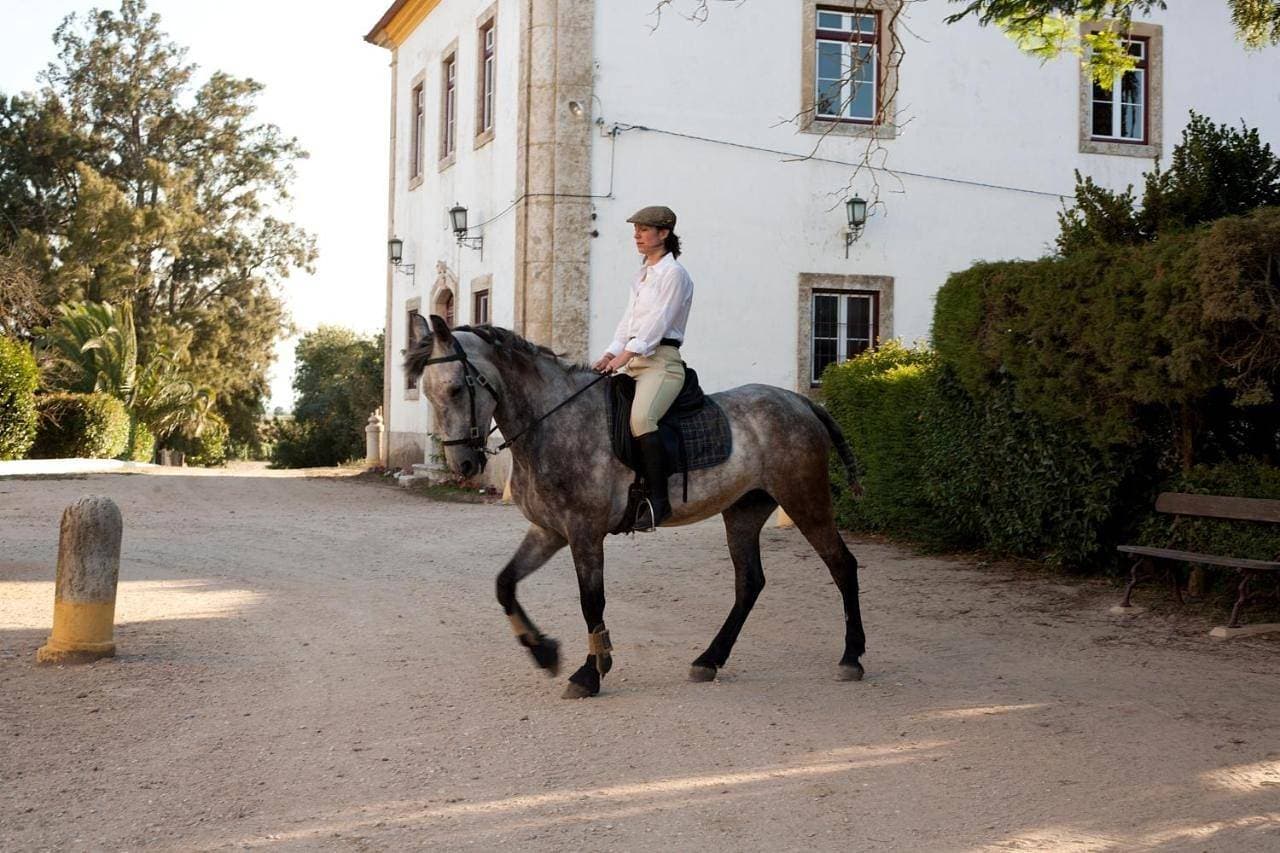 Quinta dos Álamos Agroturismo 1