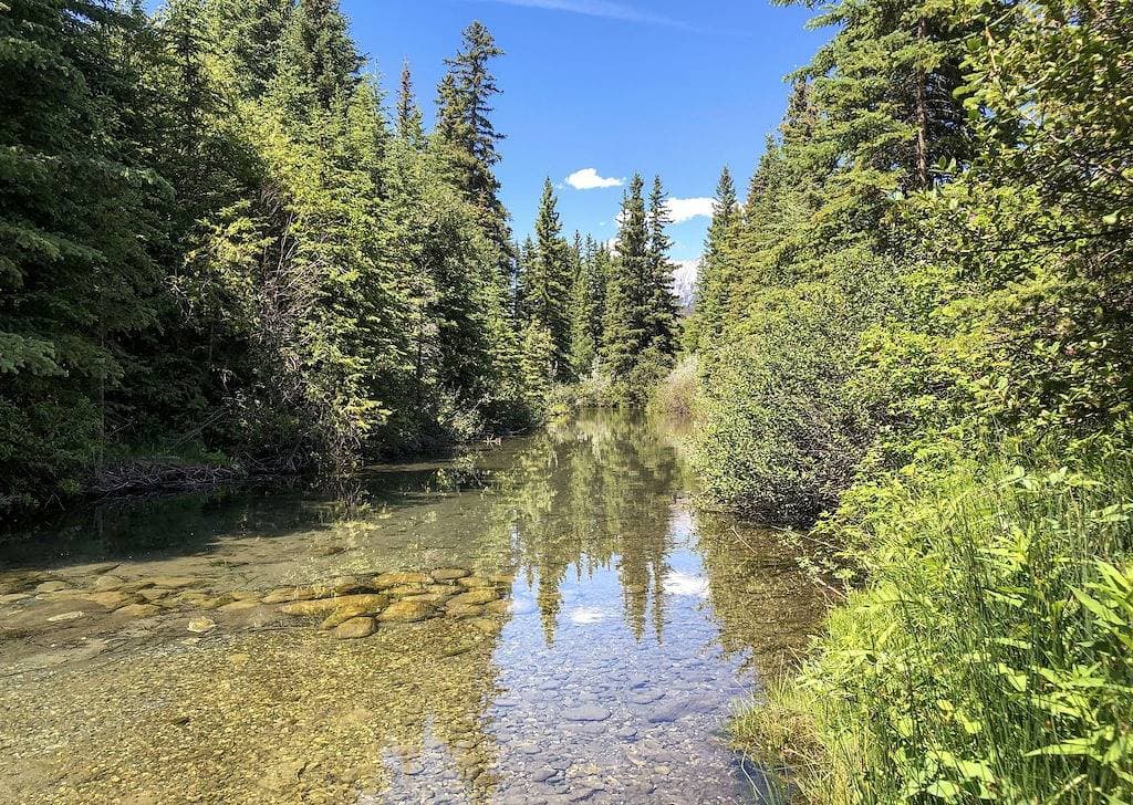 Foto 4 von 28: Luxury Escape in Canmore!
