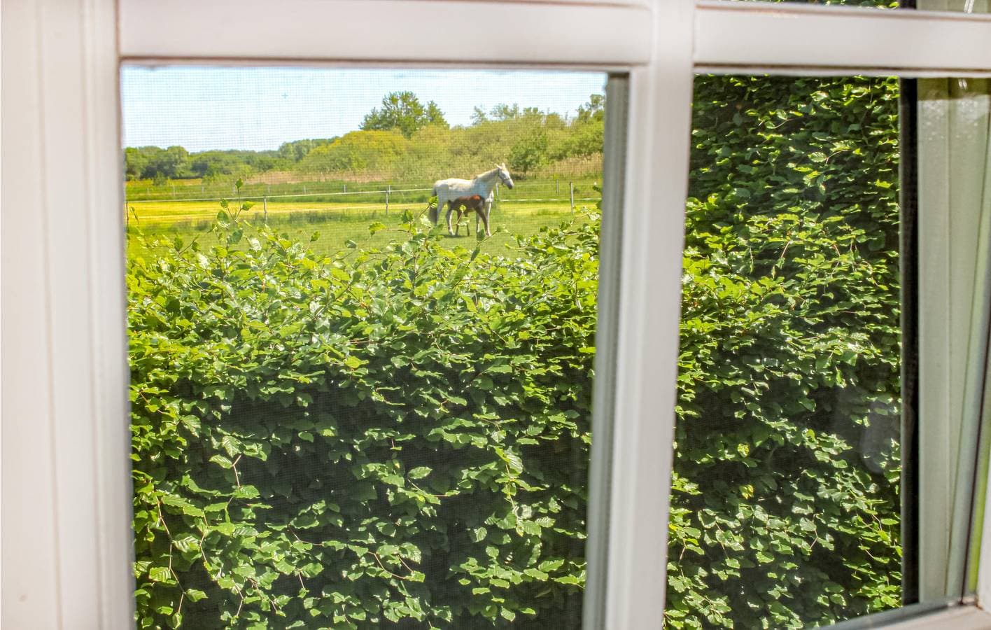 Foto 11 von 22: Ferienhaus für 2 Personen mit Garten