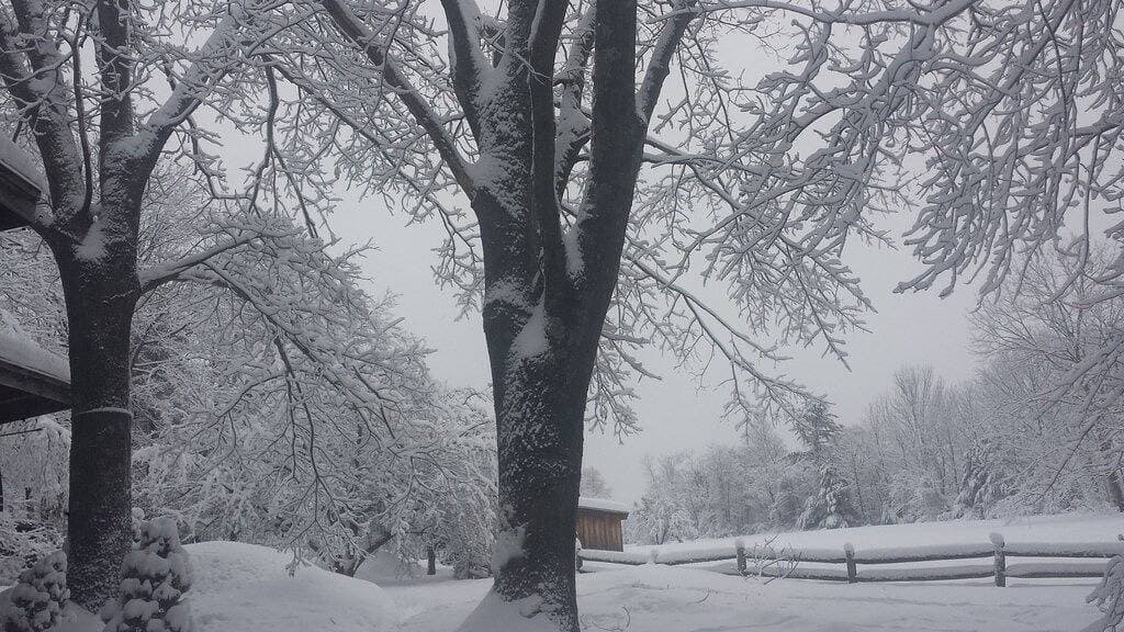 Foto 4 von 44: ** Wind-A-Brook Lodge ** Rustikal, Country Contemporary und gut ausgestattet!