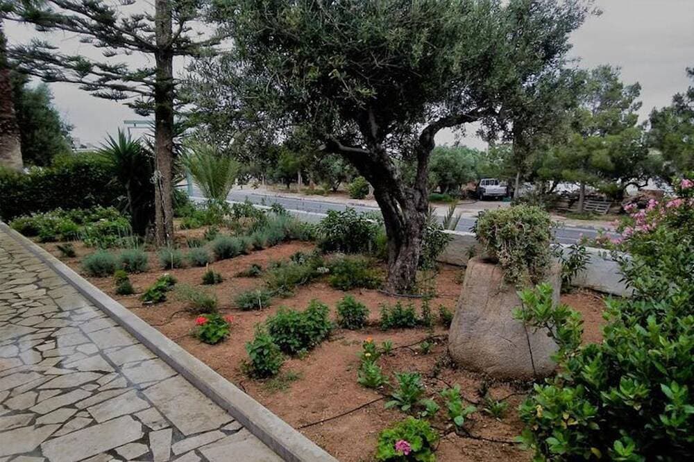 Foto 3 von 30: Apartments mit Gartenblick