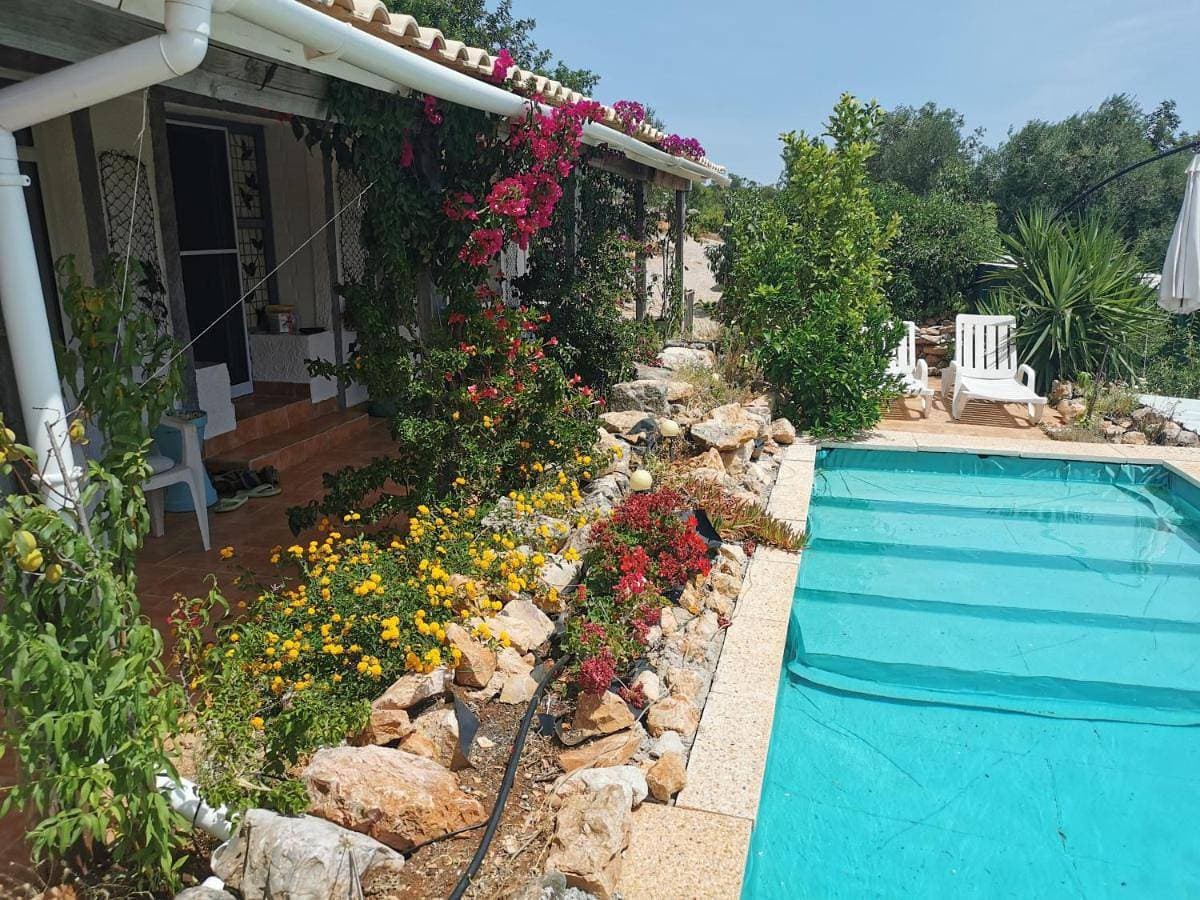 casa leia 1