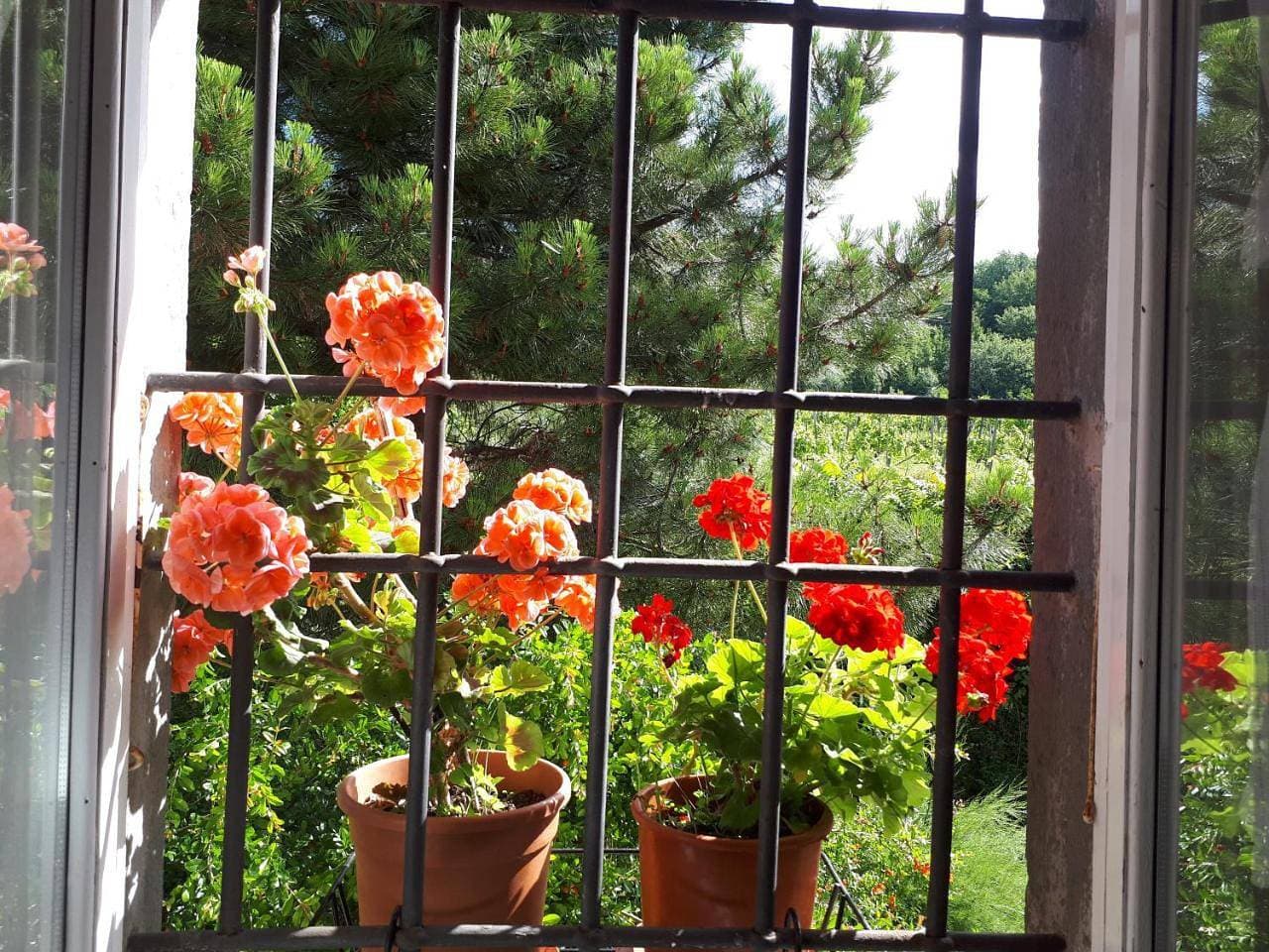 Foto 6 von 18: Double Room with Garden View