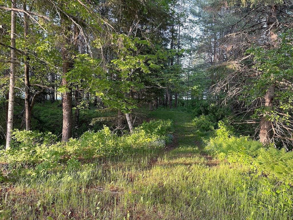 Foto 8 von 39: Lakefront Cabin/Hot Tub/Dock Lake Access/Ski Sugarloaf Mountain12mi/Trail Access
