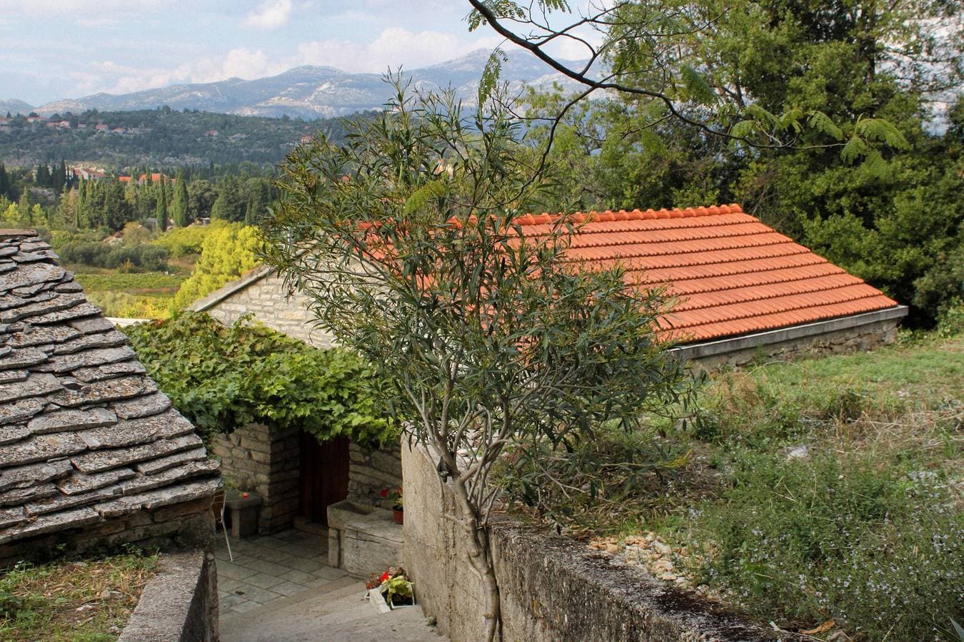 Foto 3 von 24: 1-Zimmer-Haus mit Terrasse Zrnovo, Korcula K-4876