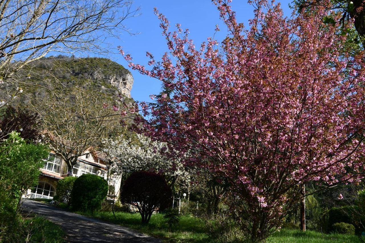 Gîte Domaine du Théron 1