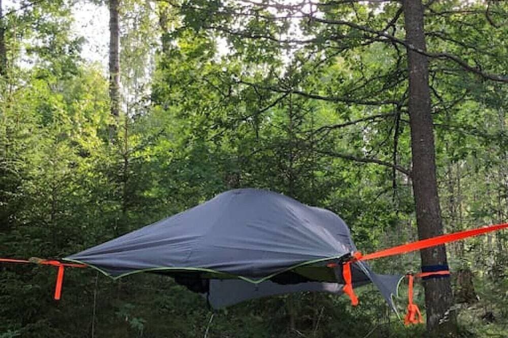 Tree-tent overlooking lake in private woodland 1