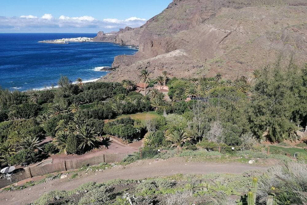 Foto 8 von 17: Monsenor Beach & Oceanview Apartment