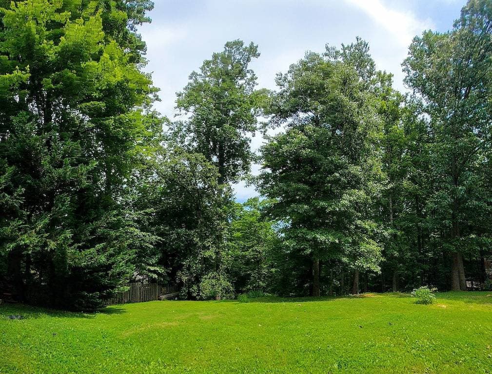 Foto 3 von 26: Urban Oasis I Large 2bd/1ba I Surrounded by Nature I 30 mins to Dc