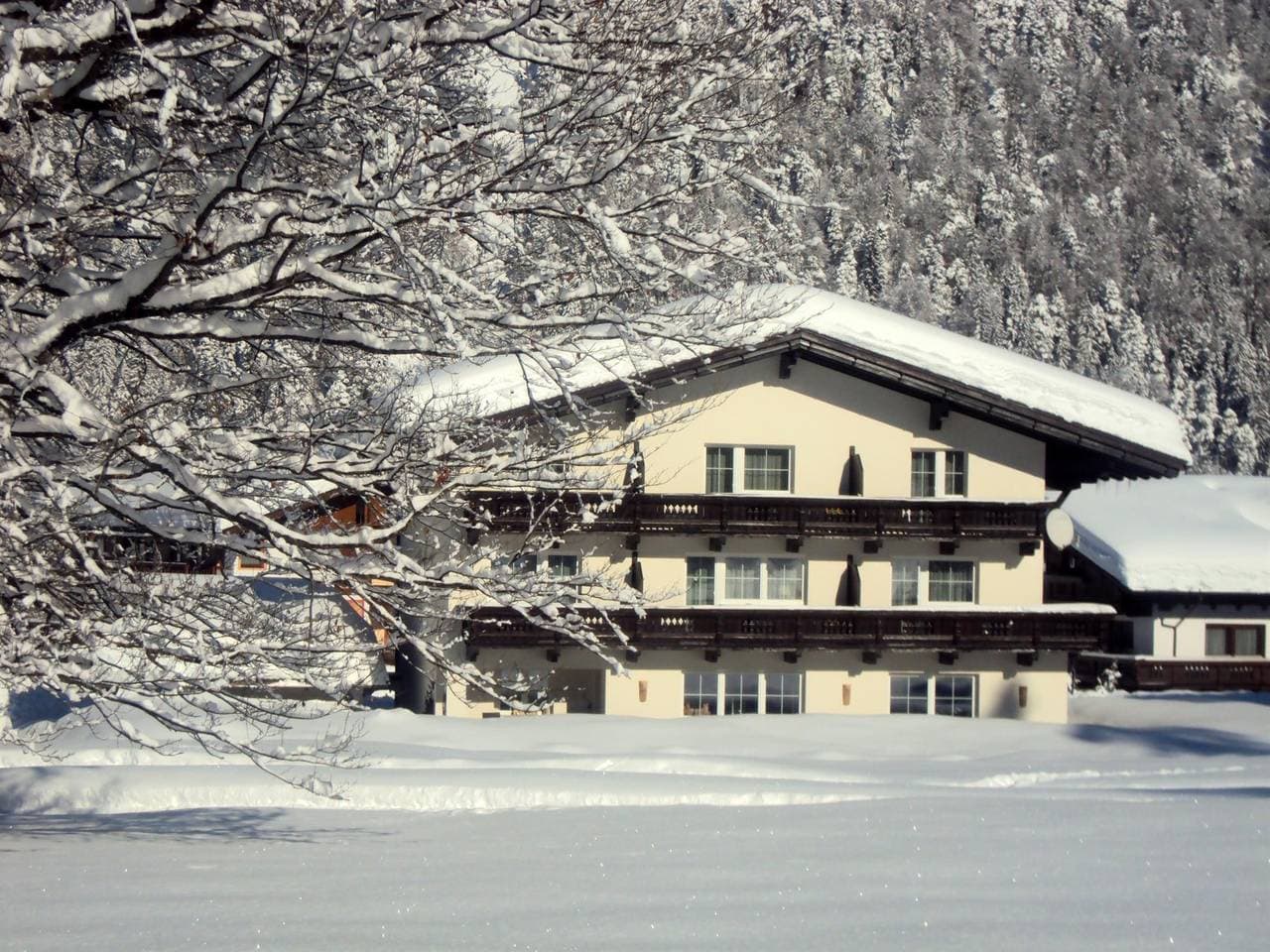 Pension Bergheim 1
