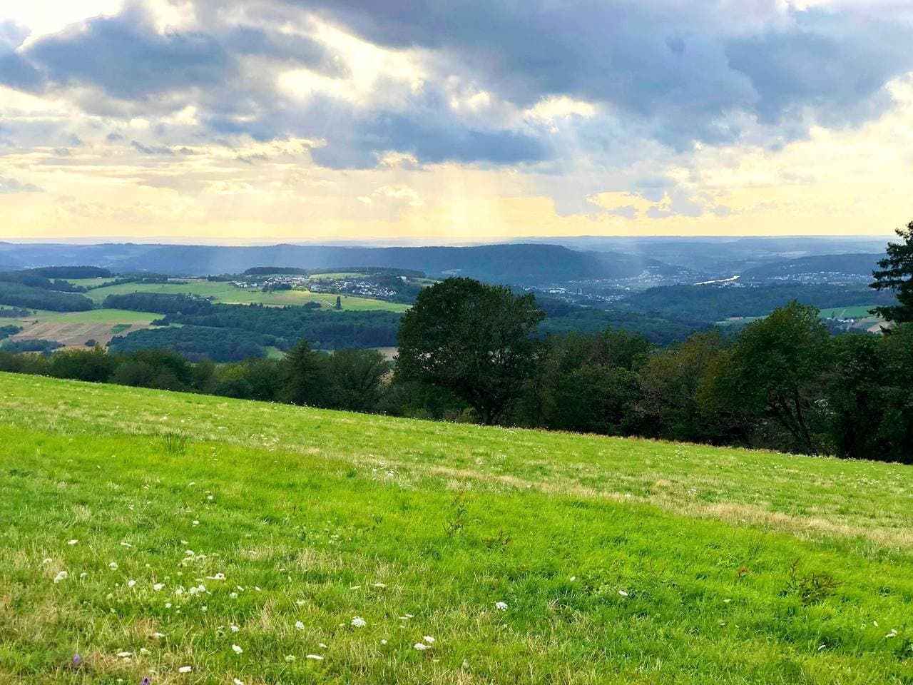 Foto 6 von 27: Gemütliche Wohnung in Konz an der Mosel