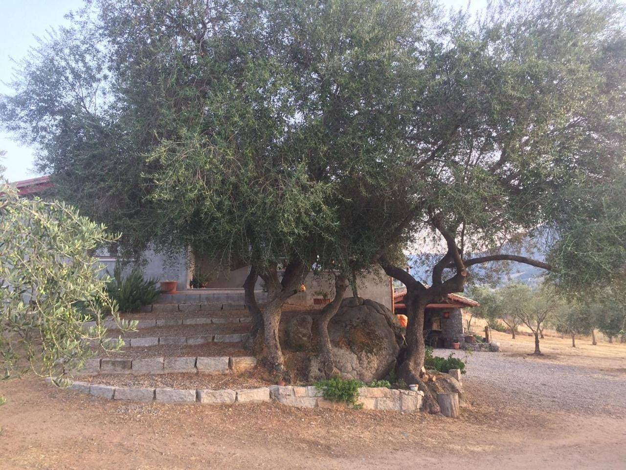 Foto 8 von 35: Holiday Home