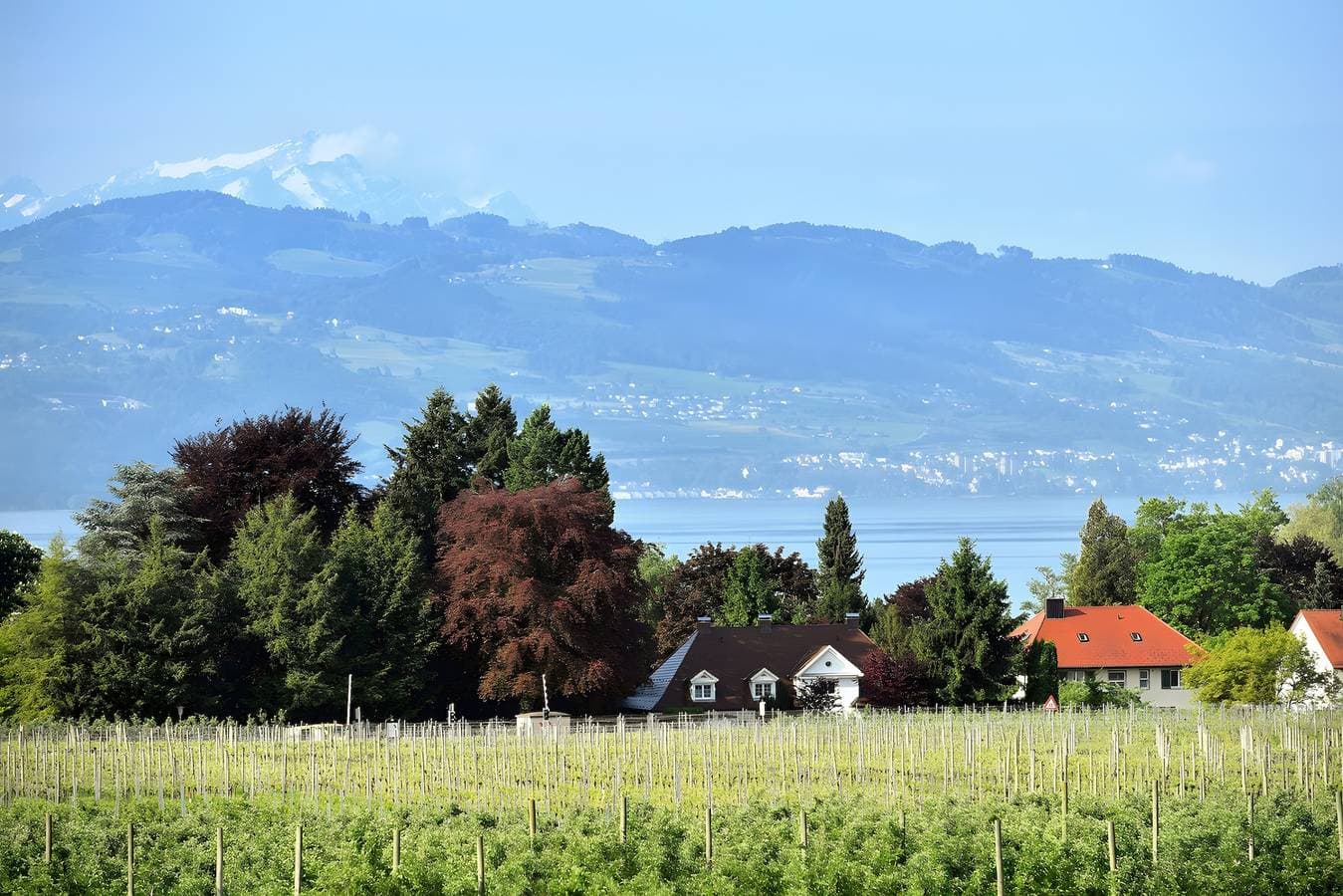 Foto 4 von 25: Apartment „Dinkelbach Traumblick 3 D“ mit Seeblick, Balkon und WLAN