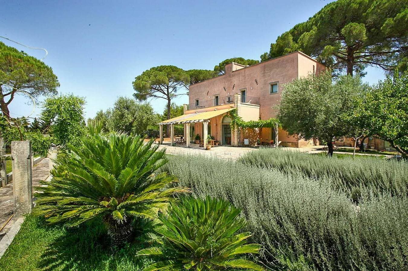 Foto 11 von 42: Masseria Lentisco